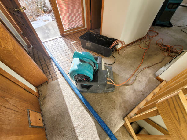 Best Water damage cleanup near me  in Arcadia, IN