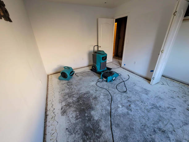 Best Emergency water damage restoration  in Arcadia, IN