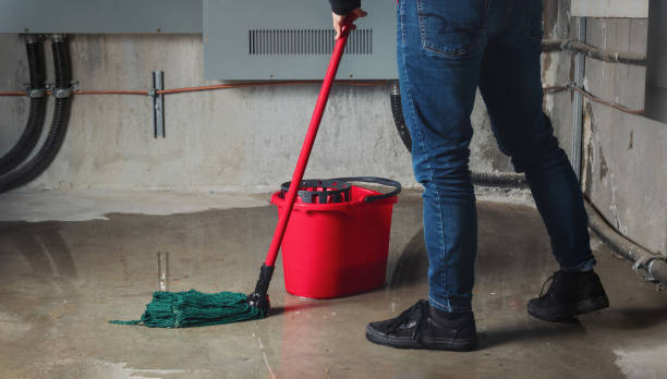 Best Sewage cleanup and water damage restoration  in Arcadia, IN