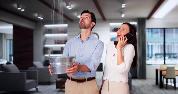 Best Mold removal after water damage  in Arcadia, IN