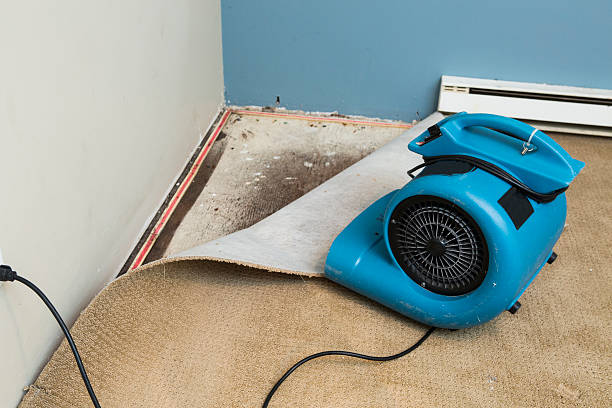 Best 24-hour water damage restoration  in Arcadia, IN